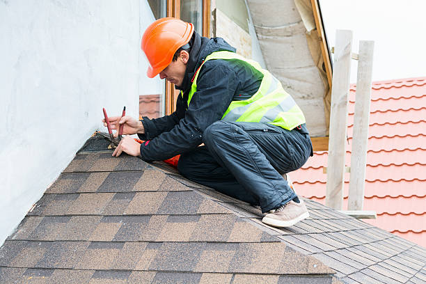 Best Local Roofing Companies  in Barrington Hls, IL