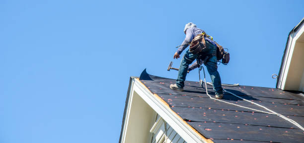 Best Roof Waterproofing Services  in Barrington Hls, IL